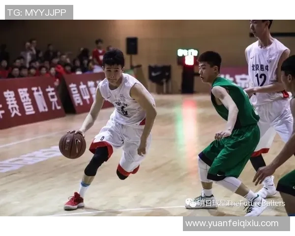 南京篮球队实力分析：联赛中的表现与未来展望