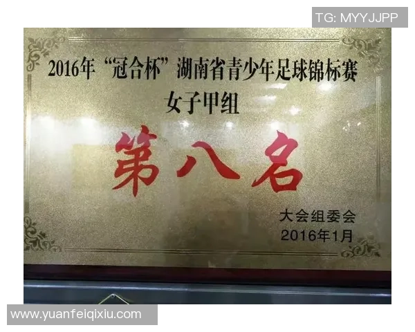 南京足球队荣登全国足球比赛经验排行榜第十名展现实力与潜力