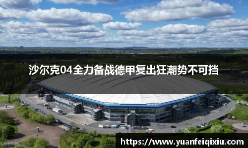 沙尔克04全力备战德甲复出狂潮势不可挡