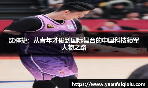 3377官网
