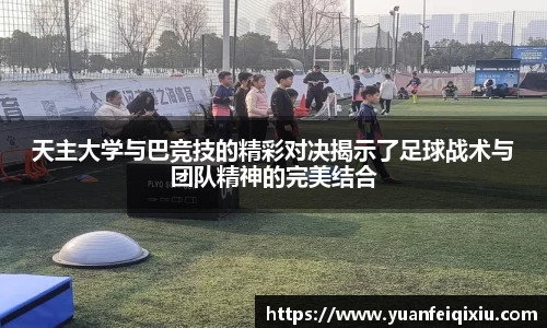 3377官网
