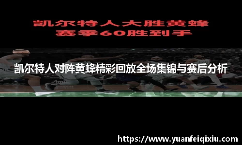 3377官网