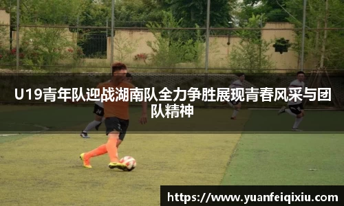 3377官网